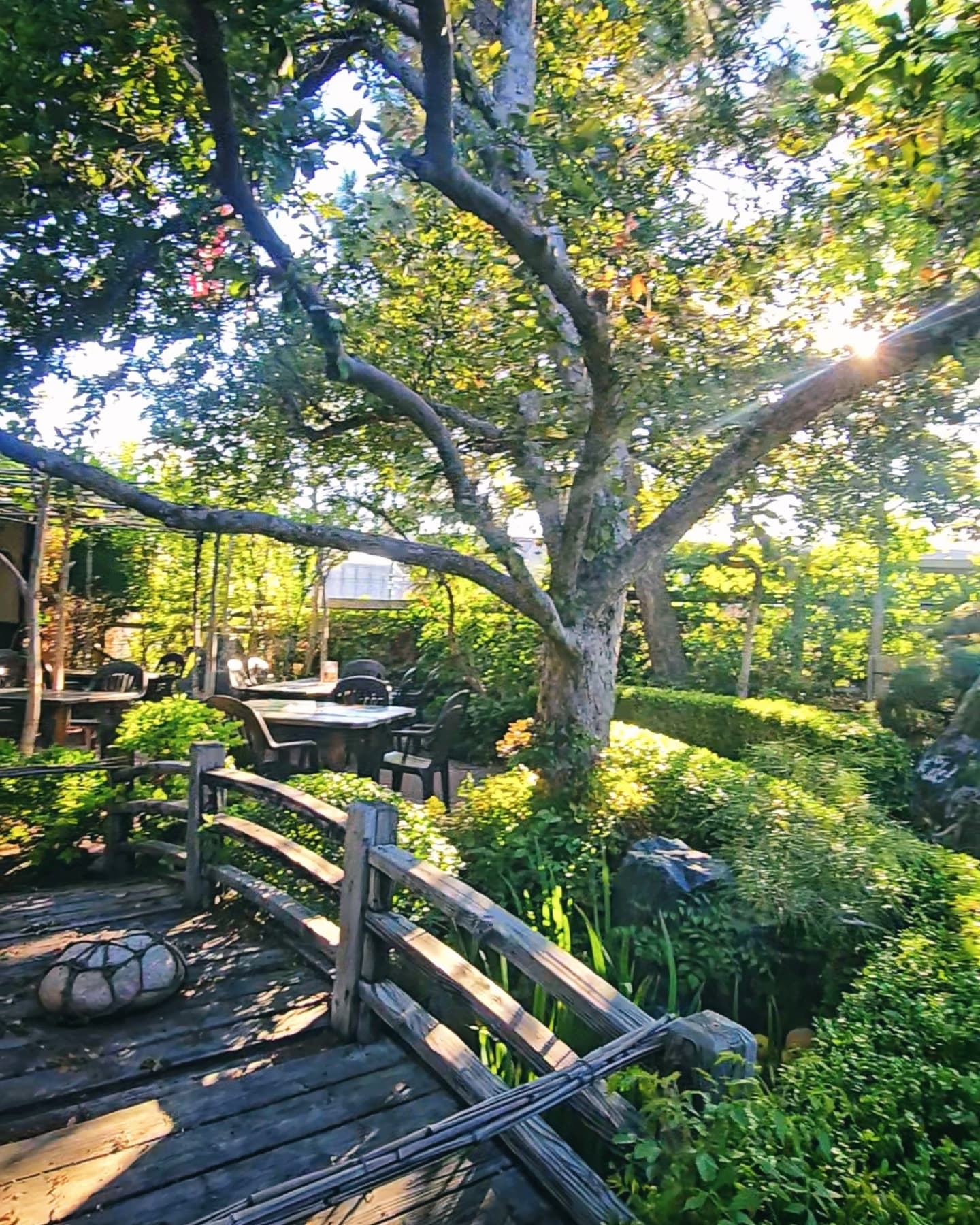 Domo is a country style Japanese restaurant in the middle…