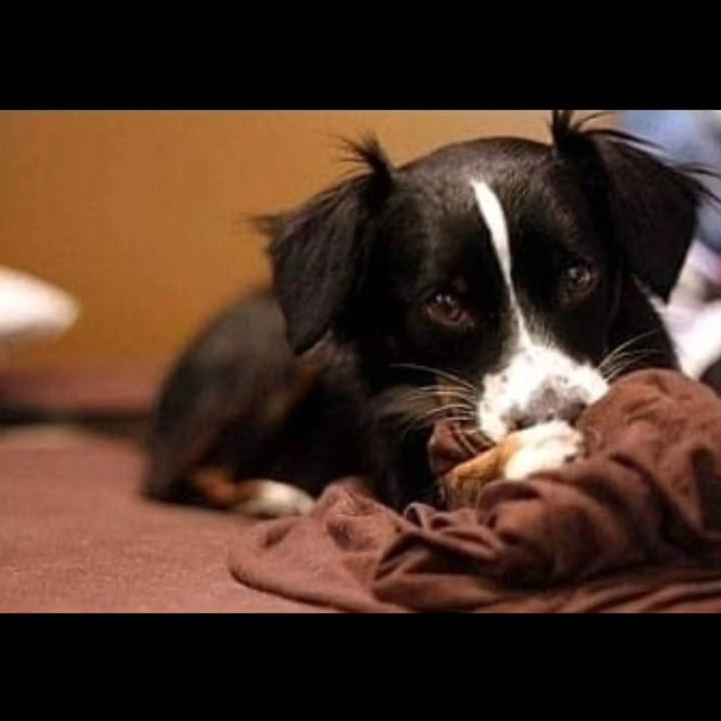 He would have been 14 today. Just a couple months short….