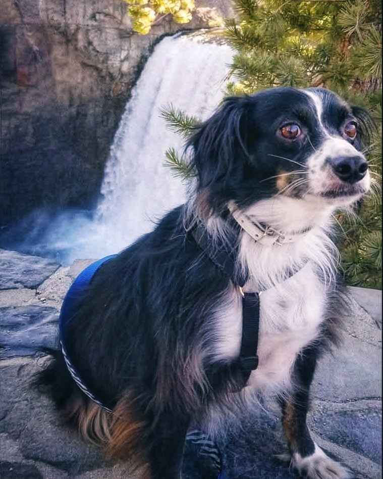 Rainbow Falls