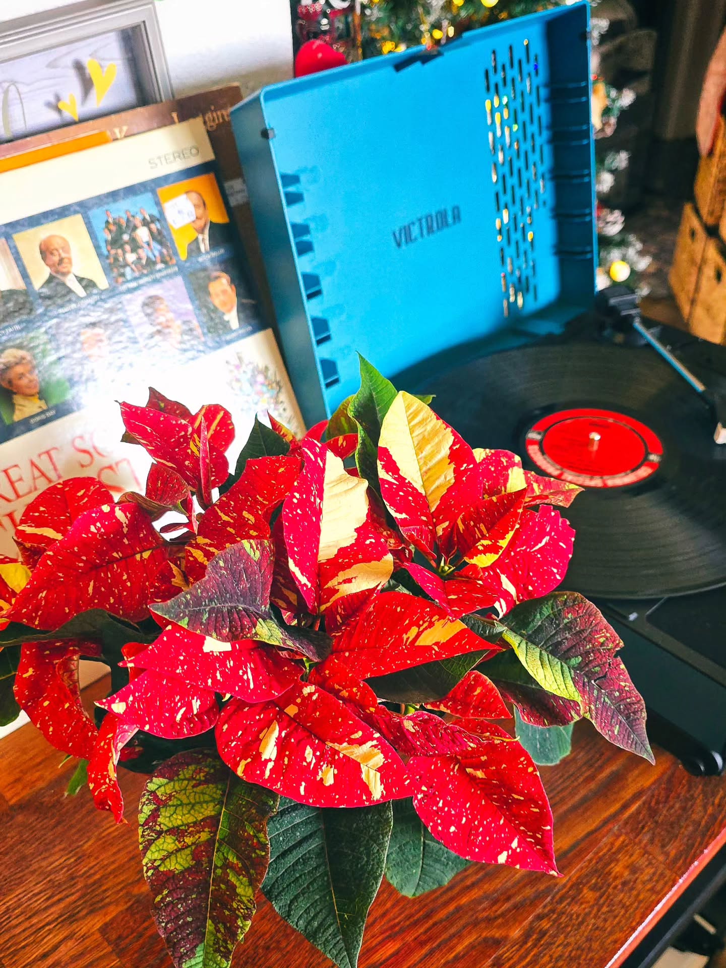 Happy Thanksgiving! Though I've definitely transitioned…