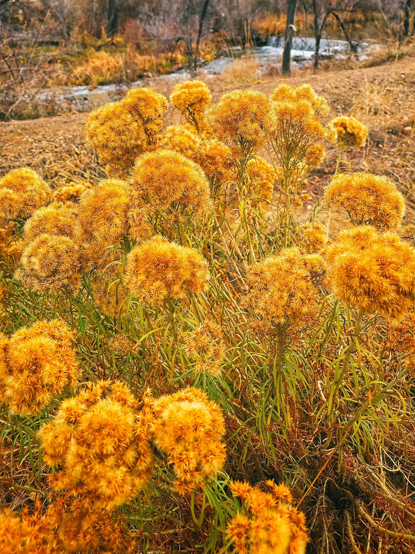 Random things that caught me eye today. I did A LOT of…