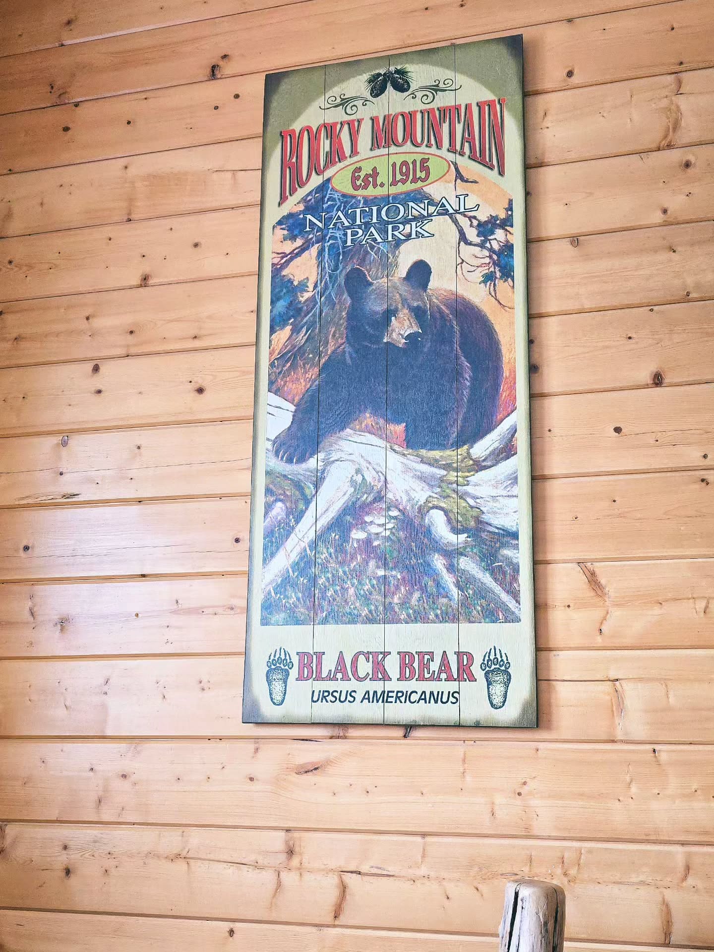 A great winter day in Rocky Mountain National Park. We did…
