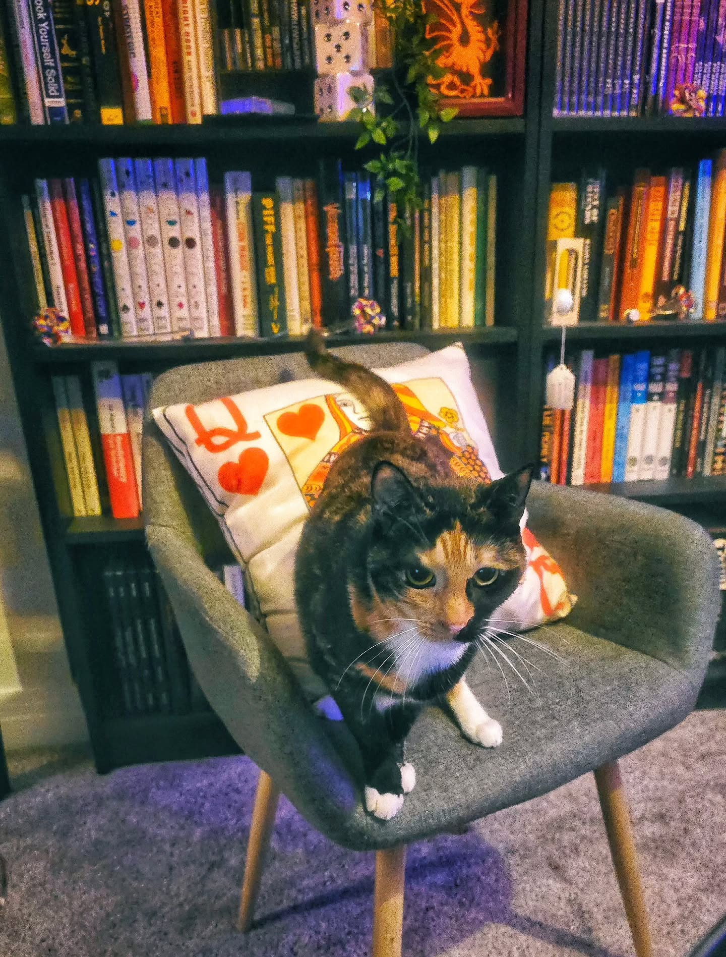 She fits right in.