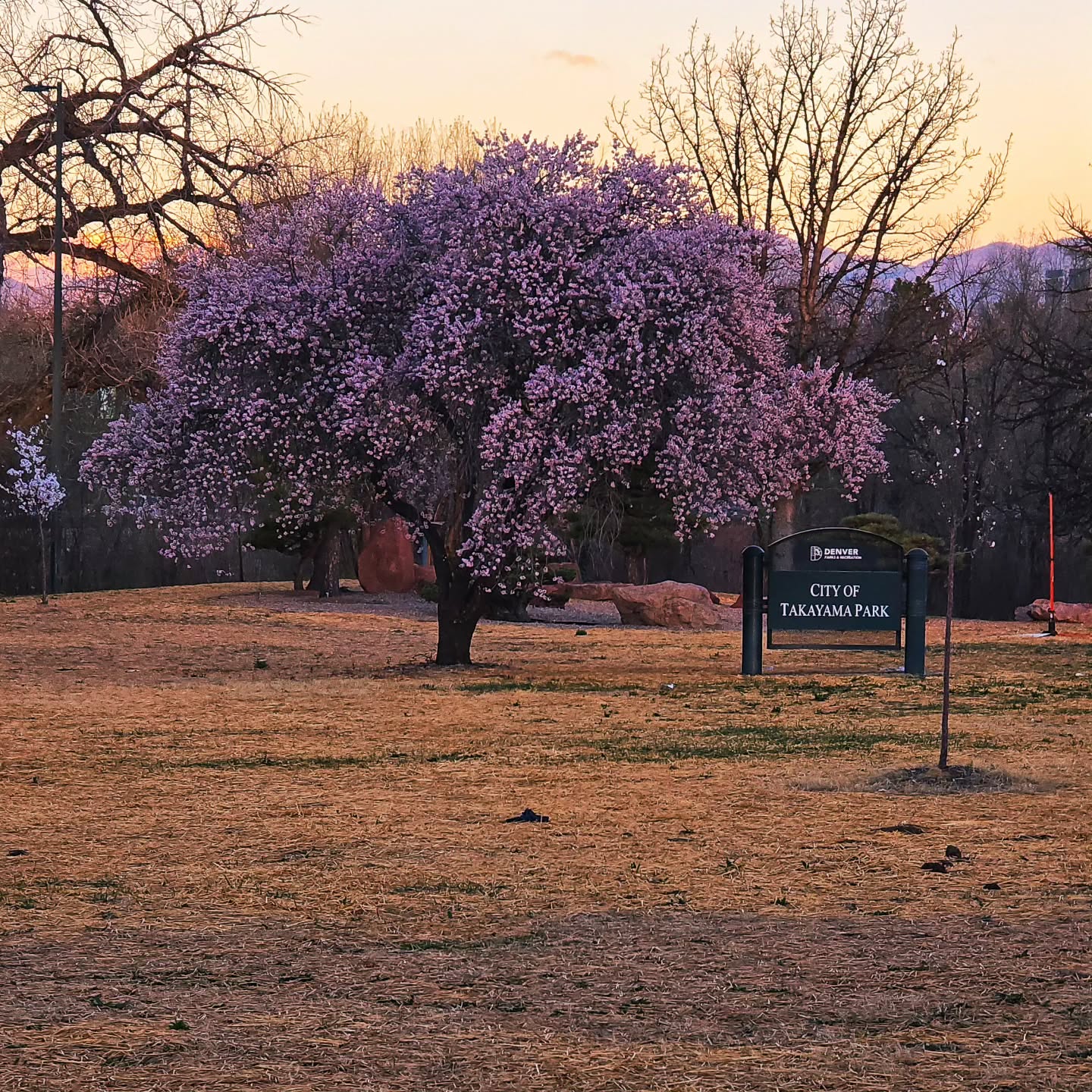 I walk by a "sister city" park that has been…