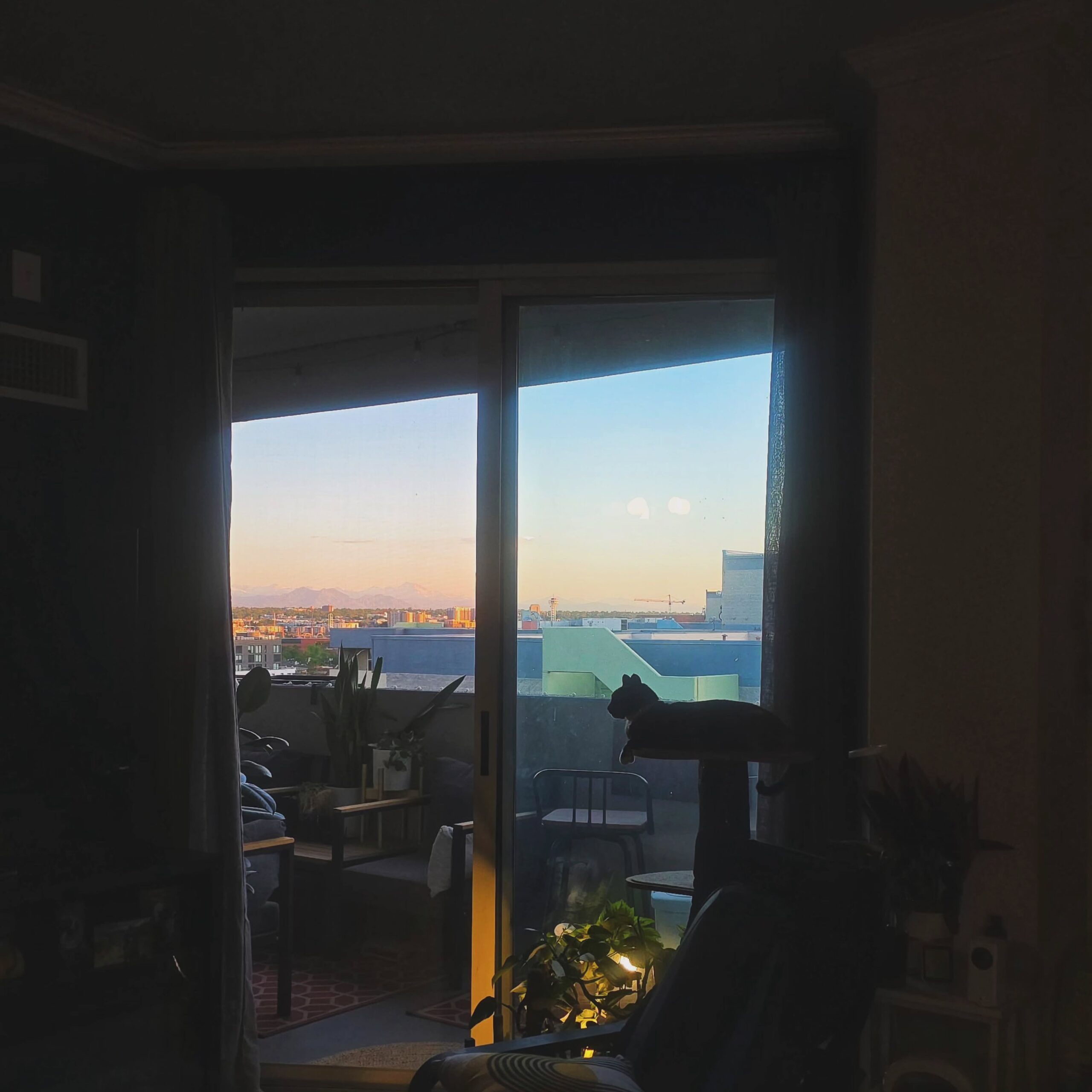 Ember enjoys the views here too.